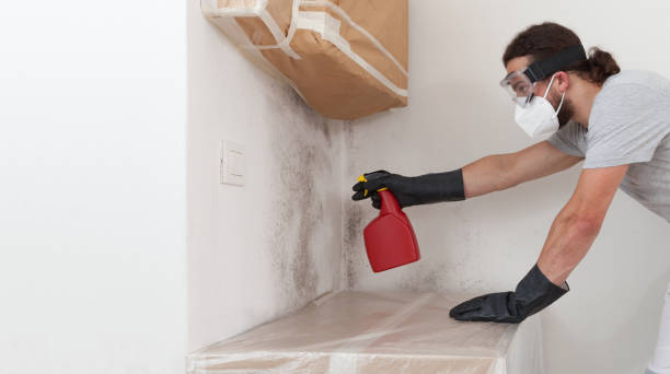 Professional Mold Remediation technician working in Madison, IL